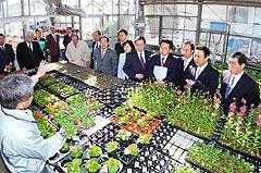 http://www.e-giin.net/_public/get_image.php?image_no=1832&element_type=2&id=kimukuni