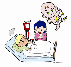 http://www.e-giin.net/_public/get_image.php?image_no=784&element_type=2&id=kimukuni
